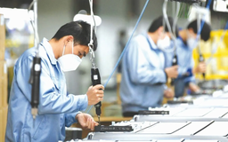 Sản xuất tăng trưởng chậm, chi phí đầu vào leo thang