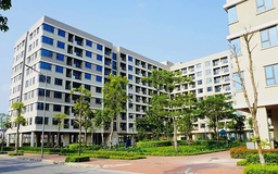 Đầu cơ đẩy giá, NƠXH mất ý nghĩa an sinh