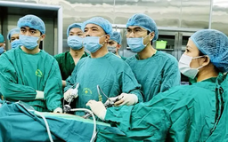 Các bệnh viện bảo đảm cấp cứu trong bốn ngày nghỉ Tết