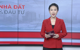 Bản tin Nhà đất và đầu tư | 01/01/2026