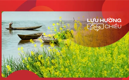 Mùa hoa cải bên sông