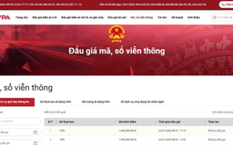 Tổ chức đấu giá quyền sử dụng mã, số viễn thông
