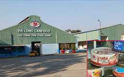 Tổng Giám đốc Công ty Đồ hộp Hạ Long bị bắt