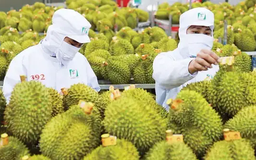 Rau quả Việt tăng trưởng mạnh nhất tại Trung Quốc