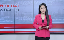 Bản tin Nhà đất và đầu tư | 11/1/2026