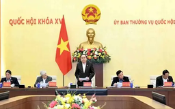 Xem xét báo cáo công tác dân nguyện tháng 12/2025