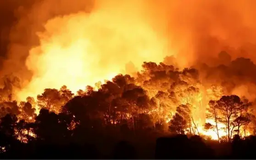 Australia vật lộn với cháy rừng tồi tệ nhất từ năm 2019
