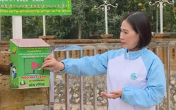 Người dân Hà Nội giữ gìn không gian xanh