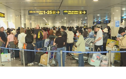 Hàng không Việt Nam vận chuyển 83,5 triệu lượt khách năm 2025