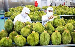 ESG - giấy thông hành cho xuất khẩu của nông sản Việt