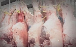 Lỗ hổng an toàn thực phẩm kéo theo hệ lụy kinh doanh