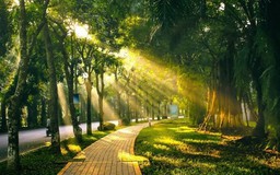 Thời tiết 14/1: Hà Nội nắng ấm trước khi bước vào đợt rét