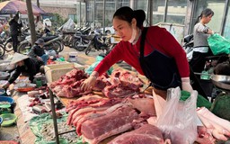 Cận Tết, giá lợn hơi trong nước tăng mạnh