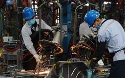 EuroCham: chỉ số niềm tin kinh doanh cao nhất 7 năm