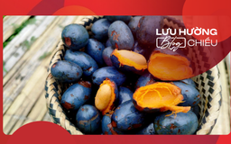Nhớ món cọ ỏm quê nhà