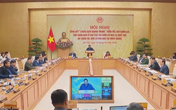 Thủ tướng: ‘Chiến dịch Quang Trung’ đã chiến thắng giòn giã