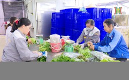 Nông nghiệp bền vững - hướng đi tất yếu | Thủ đô và thế giới | 17/01/2026