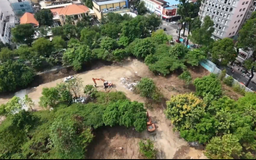 TP.HCM dỡ rào chắn 9 khu đất vàng làm vườn hoa Tết