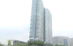 Thị trường BĐS phục hồi nhưng chưa thật sự lành mạnh