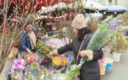 Chợ hoa Hà Nội rộn sắc xuân