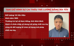 Tạm giữ hình sự cai thầu trả lương bằng ma túy