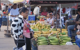 Venezuela dùng nguồn thu dầu mỏ để củng cố đồng nội tệ