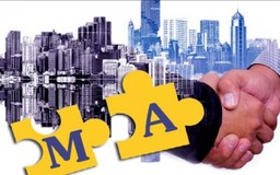 Năm 2025, quy mô M&A Việt Nam đạt khoảng 2,3 tỷ USD
