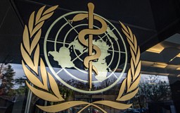 UNDP chuyển 400 nhân viên khỏi New York vì thiếu ngân sách