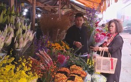 Lan, đào khoe sắc