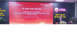 Đấu giá trực tuyến mã, số viễn thông dịch vụ toàn quốc