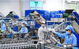 Việt Nam tiếp tục là điểm sáng thu hút FDI