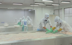 Xuất khẩu nông, lâm, thủy sản năm 2025 đạt hơn 70 tỷ USD
