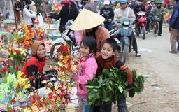 Chợ Tết miền quê