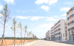 Kiến nghị linh hoạt nghĩa vụ NƠXH tại dự án thương mại