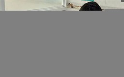 Hà Nội ghi nhận 211 ca tay chân miệng trong gần một tháng