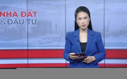 Bản tin Nhà đất và đầu tư | 26/01/2026