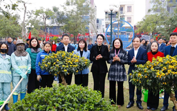 Xã Vân Đình xây dựng mô hình 'Vân Đình nở hoa'
