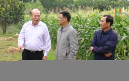 Người cựu chiến binh có tấm lòng nhân ái | Người tốt quanh ta | 29/01/2026