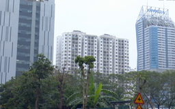 Thanh tra hàng loạt doanh nghiệp BĐS trong năm 2026