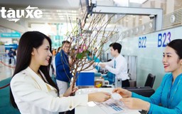 Hàng không vận chuyển đào, mai dịp Tết Bính Ngọ | Bản tin Tàu và Xe | 28/01/2026