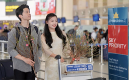 Hàng không vận chuyển đào, mai dịp Tết Bính Ngọ
