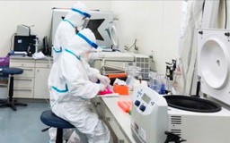 Chủ động nguồn lực ứng phó với dịch bệnh virus Nipah