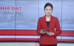 Bản tin Nhà đất và đầu tư | 29/01/2026