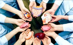 Sau hiến tạng: Hành trình được tiếp sức