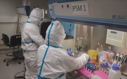Việt Nam chưa ghi nhận trường hợp mắc bệnh do virus Nipah