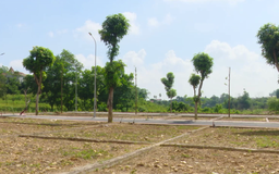 Đất nền ven Hà Nội tiếp tục bị 'thổi giá'