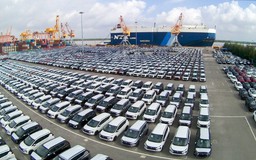 Việt Nam nhập khẩu hơn 500 ô tô mỗi ngày