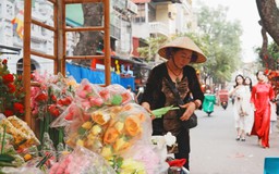 Hội chợ hoa xuân Hàng Lược 2026: Tết xưa Hà Thành