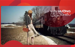 Những chuyến xe đời người