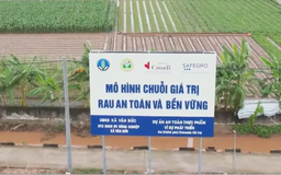 GRDP của Hà Nội tăng 8,16% trong năm 2025